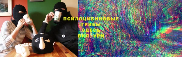 прущий лед Вяземский