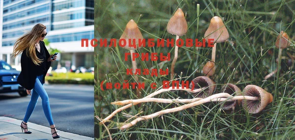 прущий лед Вяземский